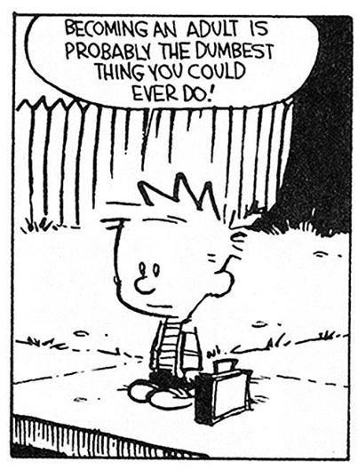 calvin-and-hobbes-quotes-dumb-adult
